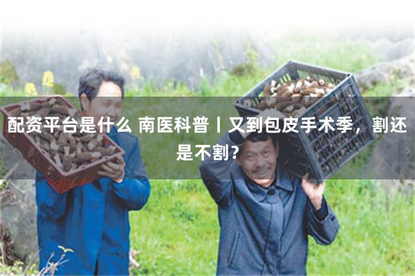 配资平台是什么 南医科普丨又到包皮手术季，割还是不割？