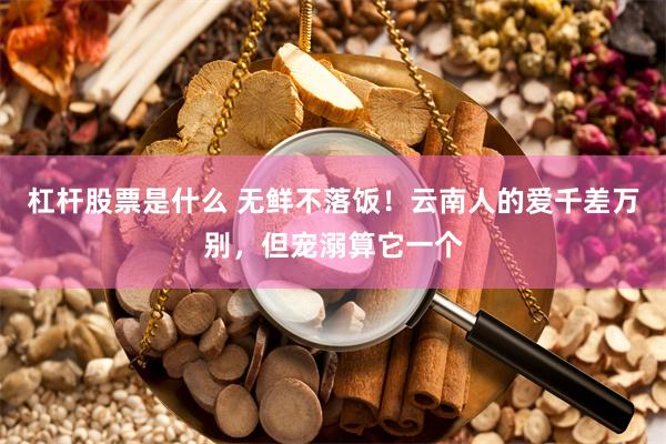 杠杆股票是什么 无鲜不落饭！云南人的爱千差万别，但宠溺算它一个