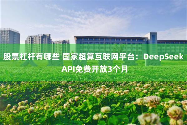 股票杠杆有哪些 国家超算互联网平台：DeepSeek API免费开放3个月