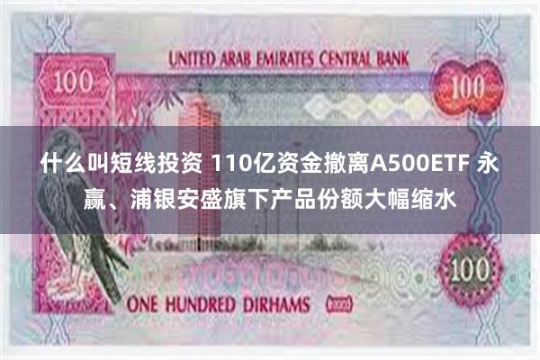 什么叫短线投资 110亿资金撤离A500ETF 永赢、浦银安盛旗下产品份额大幅缩水