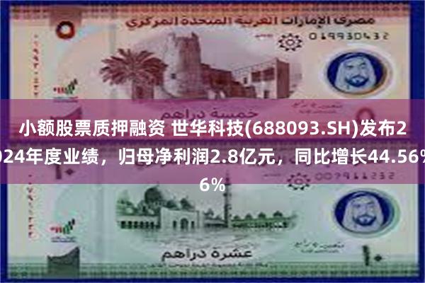 小额股票质押融资 世华科技(688093.SH)发布2024年度业绩，归母净利润2.8亿元，同比增长44.56%