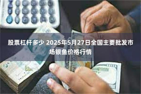 股票杠杆多少 2025年5月27日全国主要批发市场银鱼价格行情