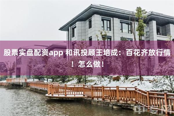 股票实盘配资app 和讯投顾王培成：百花齐放行情！怎么做！