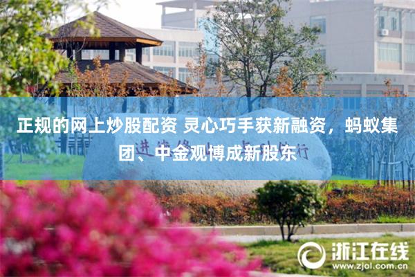 正规的网上炒股配资 灵心巧手获新融资，蚂蚁集团、中金观博成新股东