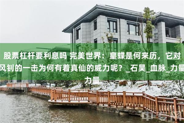 股票杠杆要利息吗 完美世界：皇蝶是何来历，它对风钊的一击为何有着真仙的威力呢？_石昊_血脉_力量