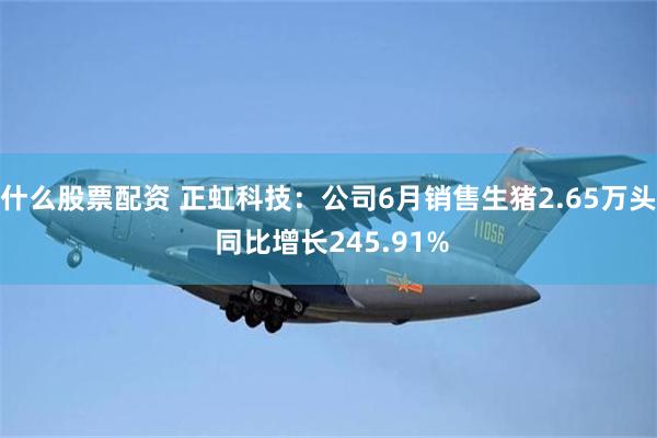 什么股票配资 正虹科技：公司6月销售生猪2.65万头 同比增长245.91%